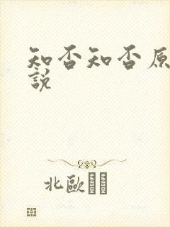 知否知否原著小说封面