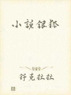 小说银狐