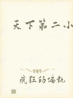 天下第二小说