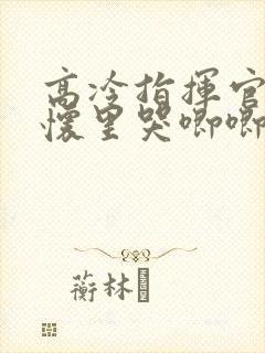 高冷指挥官在我怀里哭唧唧第二季
