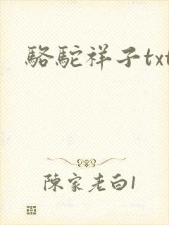 骆驼祥子txt