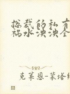 总裁的私有宝贝祸水泱泱全文阅读封面
