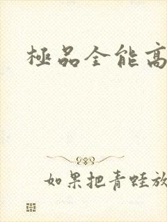 极品全能高手