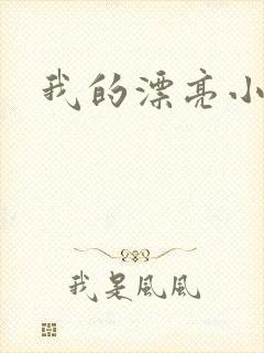 我的漂亮小后妈封面