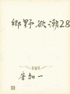 乡野欲潮28章