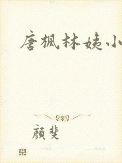 唐枫林姨小说