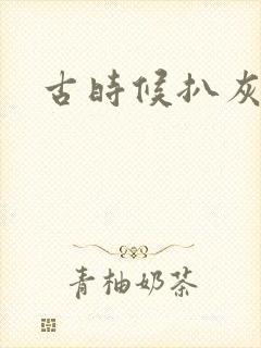 古时候扒灰小说