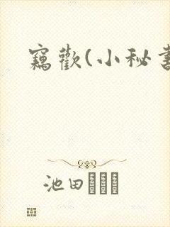 窃欢(小秘书)