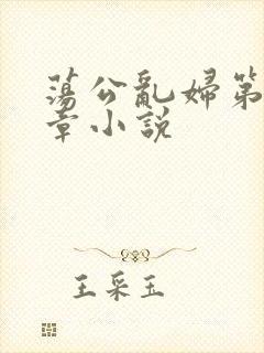 荡公乱妇第51章小说