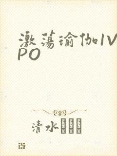 激荡瑜伽1V2PO