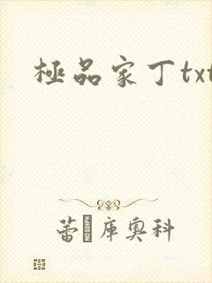 极品家丁txt