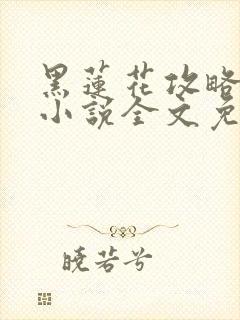 黑莲花攻略手册小说全文免费阅读笔趣阁封面