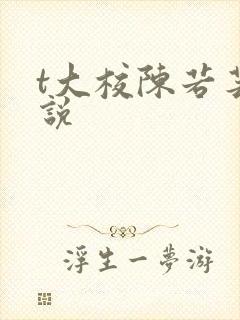 t大校陈若芸小说