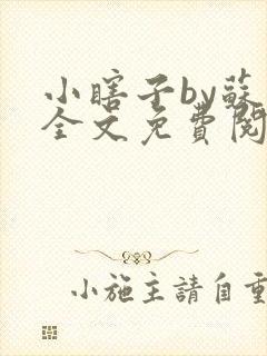小瞎子by苏软全文免费阅读