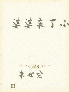 婆婆来了小说