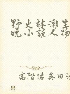 野火林潮生林晚晚小说人物野火