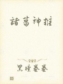 诸葛神推