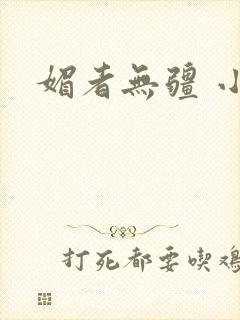 媚者无疆 小说封面