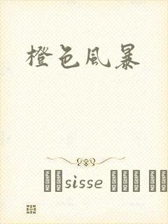 橙色风暴封面