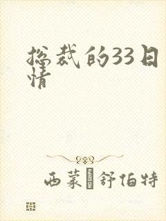 总裁的33日索情
