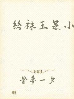 丝袜玉足小说
