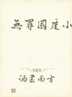 无罪国度小说