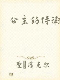 公主的侍卫封面