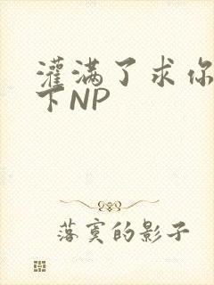 灌满了求你们停下NP