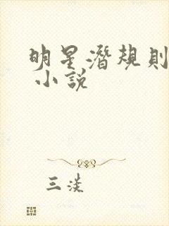 明星潜规则之皇 小说封面