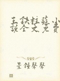 王铁柱苏小汐小说全文免费阅读最新章节封面