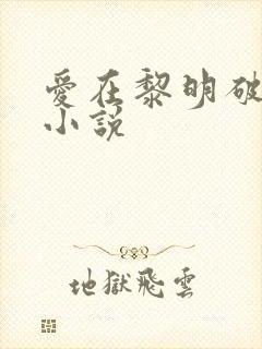 爱在黎明破晓前小说