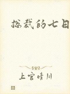 总裁的七日恋人