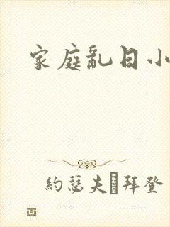 家庭乱日小说封面