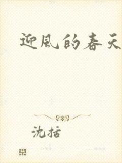迎风的春天封面