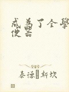 成为了全学校坐便器