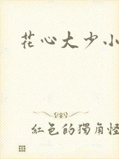 花心大少小说