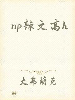 np辣文高h
