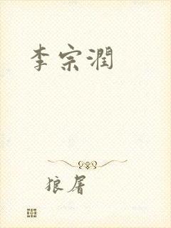李宗润封面