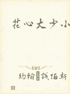 花心大少小说