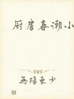 厨房春潮小说