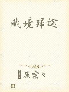 藏境归途