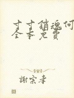 寸寸销魂何生祥全本免费封面