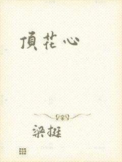 顶花心封面
