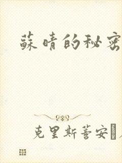 苏晴的秘密小说