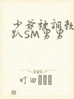 少爷被调教室跪趴SM男男