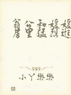 翁公和媛媛在厨房里猛烈进出