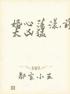 婚心荡漾,前夫太凶猛