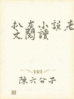 扒灰小说老马全文阅读
