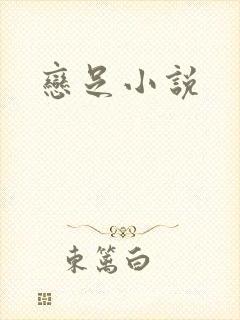 恋足小说