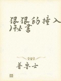 狠狠的撞入(h)秘书